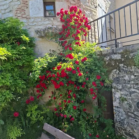 Du * Saint-Vincent-Rive-dʼOlt