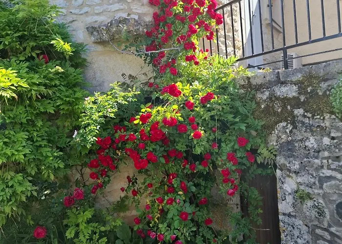 Du * Saint-Vincent-Rive-dʼOlt